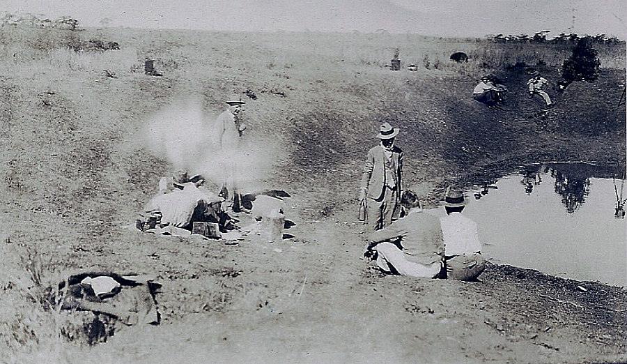 A Guerra dos Emus: quando o exército australiano perdeu para pássaros