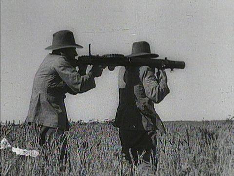 A Guerra dos Emus: quando a Austrália perdeu para pássaros